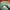 Vintage Streetwear Hat Pria green brown photo 5