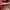 Vintage Streetwear Hat Pria red photo 3
