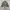 Rumor double pocket work jacket  photo 4