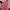 Surfer Girl Pink Dress photo 1
