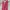 Jumpsuit Celana Panjang Maroon Vetements Preloved photo 3