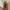 one set photo 1