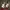 nike air jordan NU 1 low photo 2