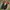 nike air jordan NU 1 low photo 1