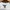 Polo bear Ralph Lauren sweatshirt barcode photo 5