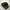 Moncler Casual Sandals & slide Pria black photo 2