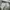 Off-White Casual Sandals & slide Pria white photo 3