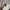 Canterbury Sportswear Casual Hoody Pria white gray photo 3