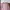 Sportswear Muslim Blouse Wanita purple pink photo 5