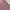 Sportswear Muslim Blouse Wanita purple pink photo 4