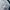 GU Streetwear Sportswear Windbreaker Pria navy black photo 6
