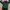 Casual Baju muslim Wanita green photo 1