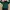 Casual Baju Muslim Wanita Green