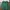 Casual Baju muslim Wanita green photo 2