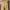 Minimalist Casual Casual trouser Wanita cream tan photo 3