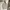 Gray boxy fit polo shirt tan kaos berkerah buttonless  photo 1