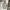 Gray boxy fit polo shirt tan kaos berkerah buttonless  photo 2
