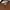 Men in Jungle knit tee brown kaos rajut knitwear knitted photo 2