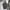 Ezio Homme Knit Polo Shirt Dark Asphalt Grey Kaos Berkerah 