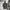 Ezio Homme knit polo shirt dark asphalt grey kaos berkerah  photo 2