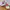 Nike Sportswear Casual Sneakers Pria White Red