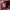 Nike Sportswear Casual Sneakers Pria white red photo 7