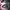 Adidas Streetwear Casual Sneakers Pria white black photo 6