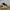 Adidas Streetwear Casual Sneakers Pria White Black