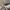 atasan Premium  photo 7