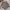 atasan Premium  photo 5