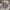 atasan Premium  photo 1
