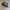 Converse 70s Low egret photo 1