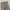 Dickies Casual Casual pants Pria khaki photo 6