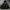 Gorpcore Nike photo 4