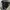 Gorpcore Nike photo 2