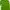 ZARA Casual Wrap Dress Wanita Green