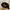 Stussy bear strapback cap hat  photo 3