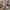 Burberry Vintage Casual shirt Pria tan photo 6