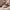 VANS Casual Sneakers Wanita multicolor white photo 3