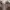 VANS Casual Sneakers Wanita multicolor white photo 6