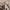 VANS Casual Sneakers Wanita multicolor white photo 5