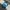 vintage 5 panel hat  adidas photo 3