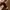 Celana formal lose baggy  photo 2