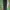 Celana formal lose baggy  photo 1