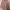 BRANDNEW BABY PINK DRESS photo 4