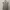 JUMPSUIT photo 1