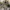 Double Pleated Gurkha Trousers photo 4
