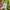 Supreme Casual Casual pants Pria purple green photo 7