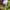 Supreme Casual Casual pants Pria purple green photo 8