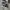 Converse Allstar Hi Black White photo 1